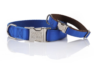 metal buckle dog collar