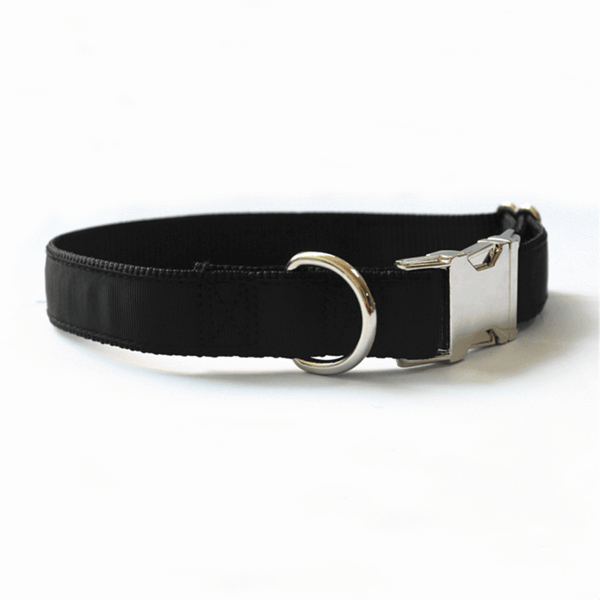 dog collar metal clasp