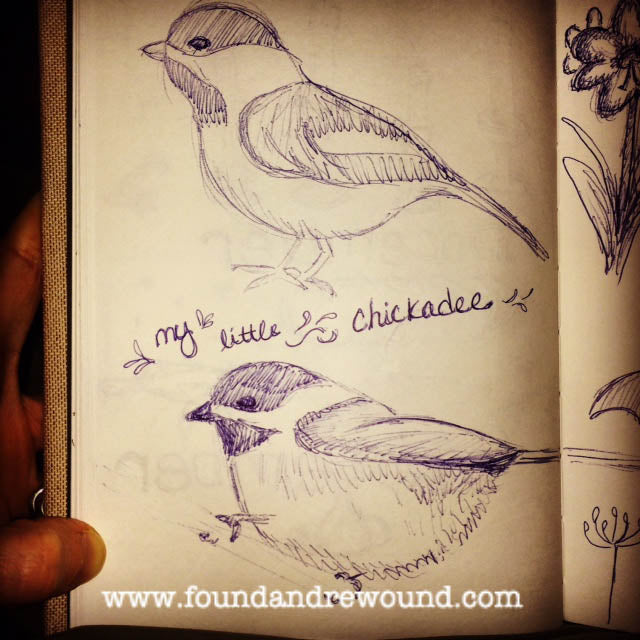 Jordan Kim Chickadee sketches