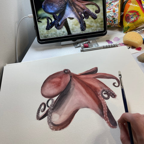 Octopus panting