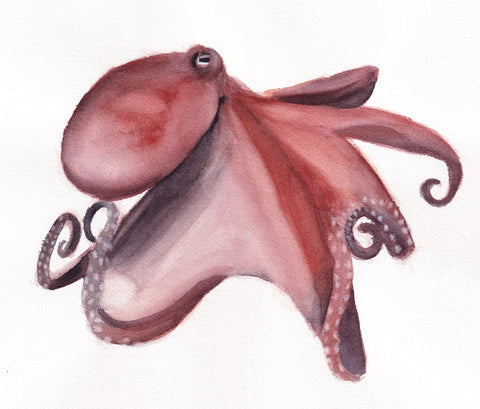 Finished watercolor octopus