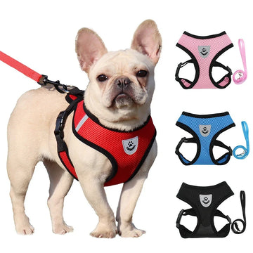 harnesses product