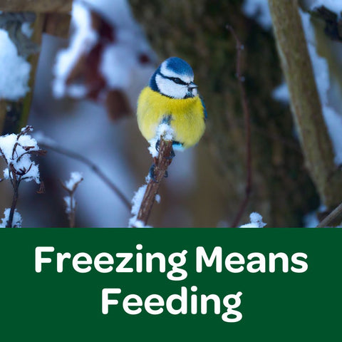 freezing means feeding