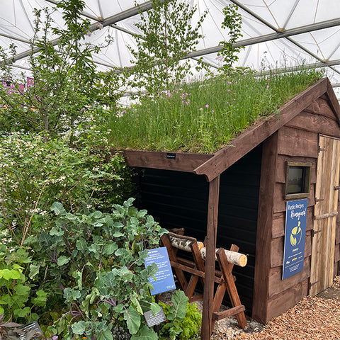 living roof at chelsea flower show