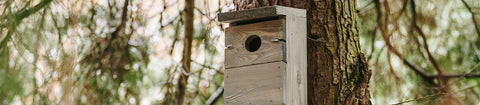 Peckish Garden Nest Box on tree