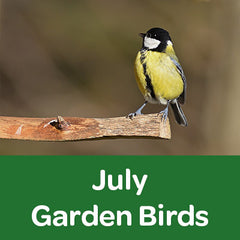 july garden birds