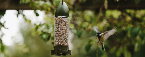Peckish filled feeder with bird flying in