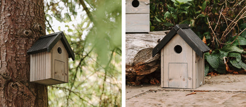 Peckish Garden Nest Box on tree