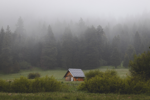 Cabin off grid in the middle of the woods with solar panels on the roof