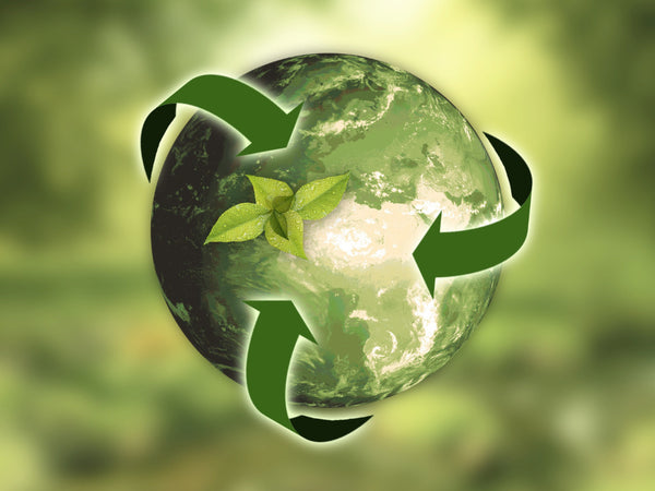 Environmental sustainability concept with a lush green tree growing out of a recycling symbol, representing the harmony between nature and eco-friendly practices