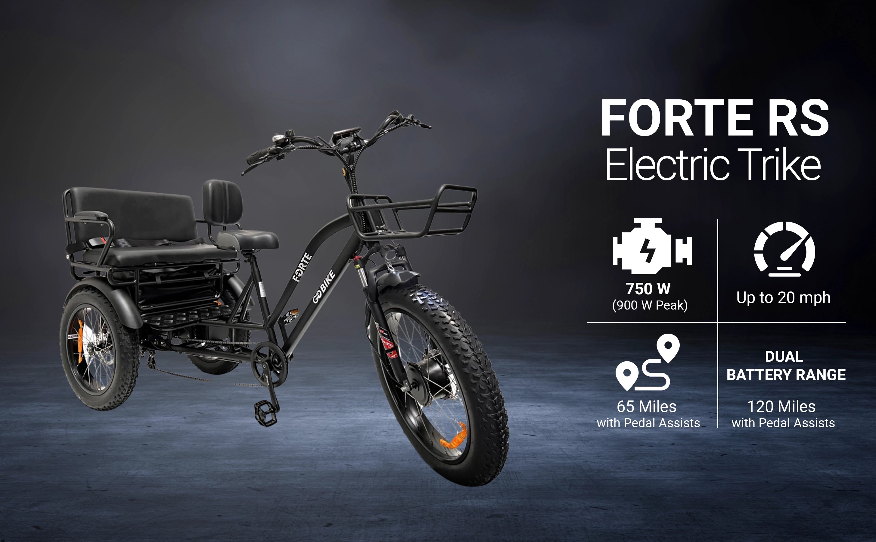 FORTE RS Electric Trike 750W GOBIKE