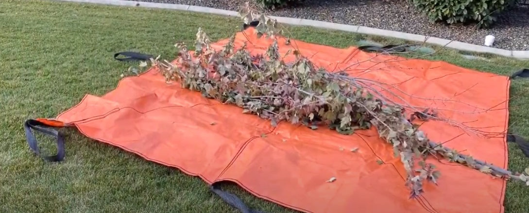 Using a tarp to remove yard waste.