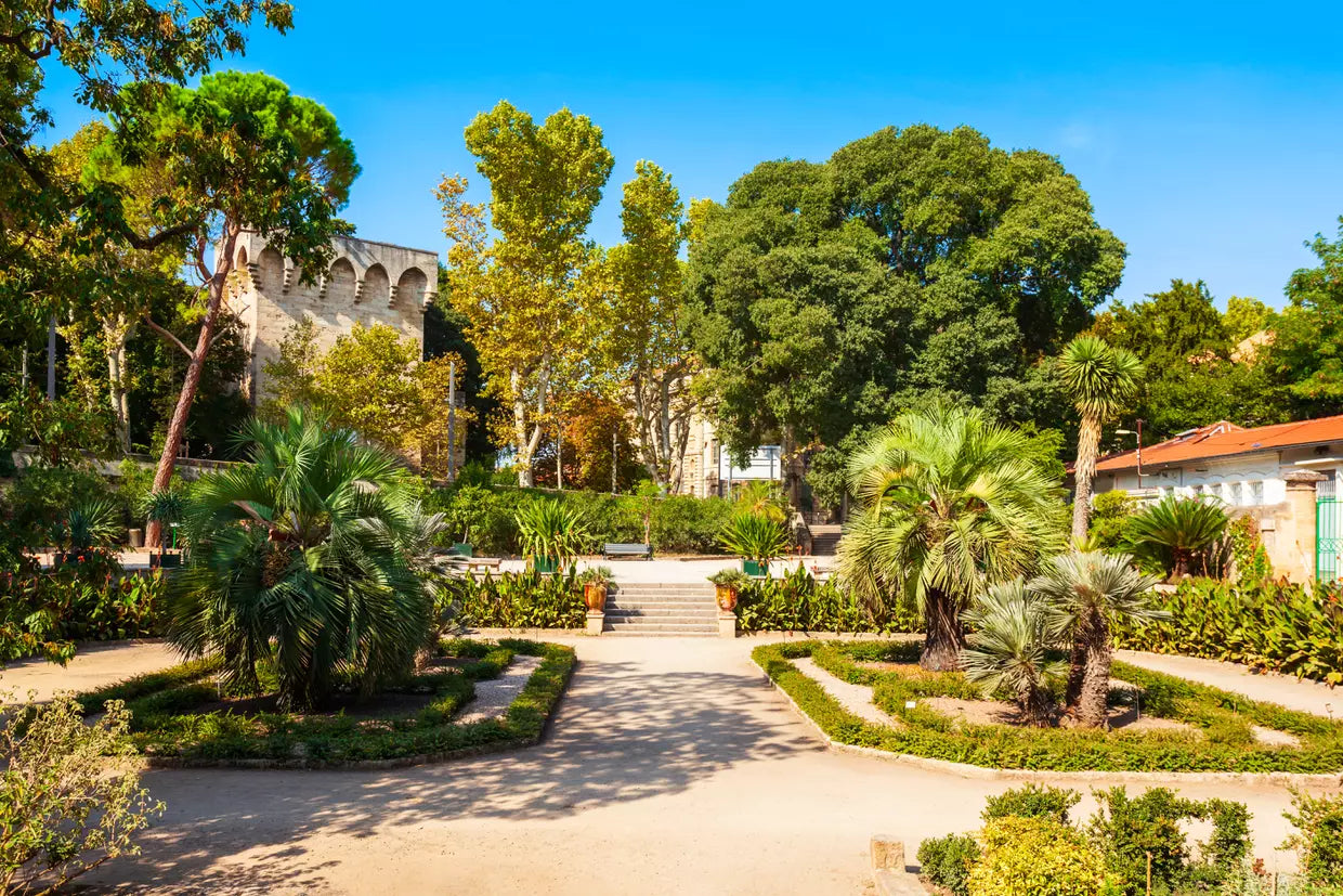 Jardim de plantas de Montpellier