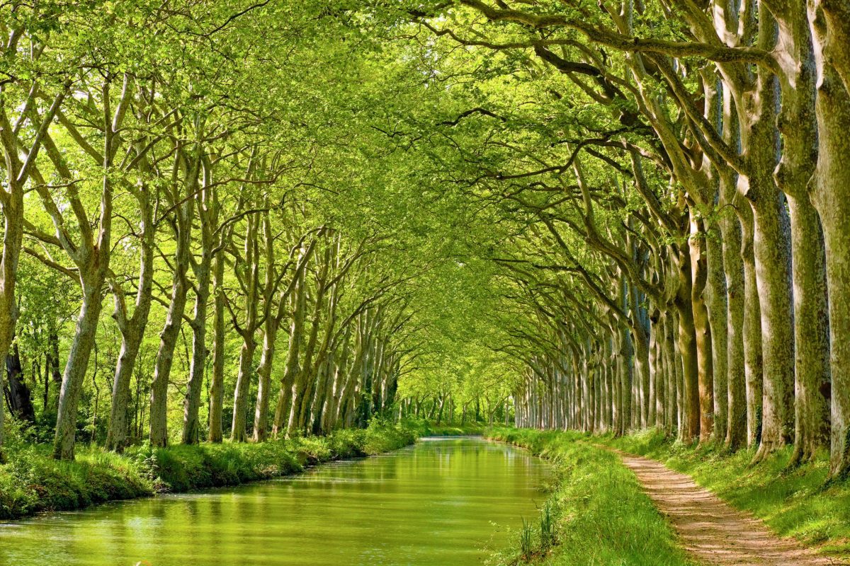 Canal du Midi