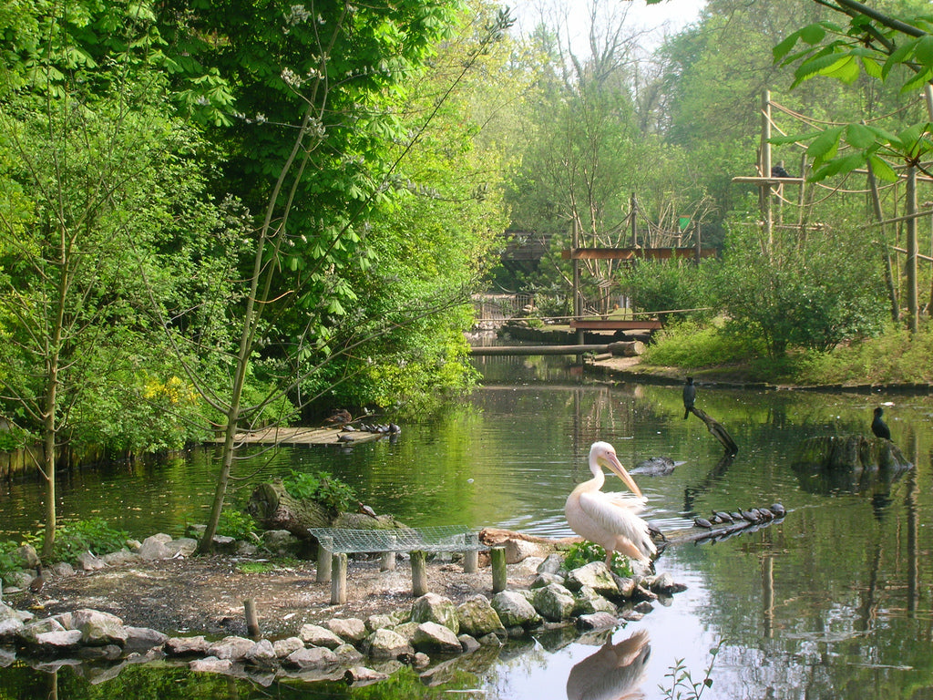 Le zoo de Lille