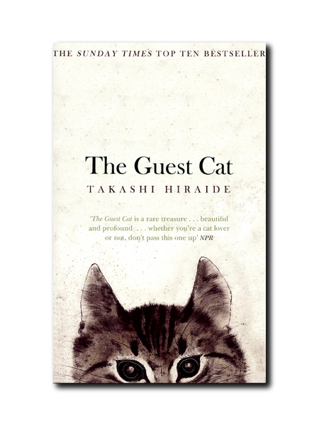 the guest cat