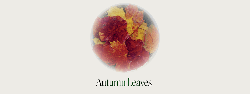 Autumn Leaves