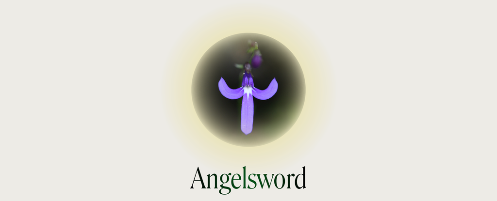 Angelsword