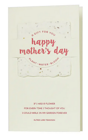 Mother's Day Card with seeds - The Imagination Spot 