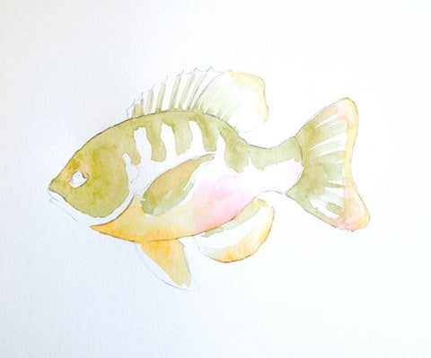 Watercolor Fish