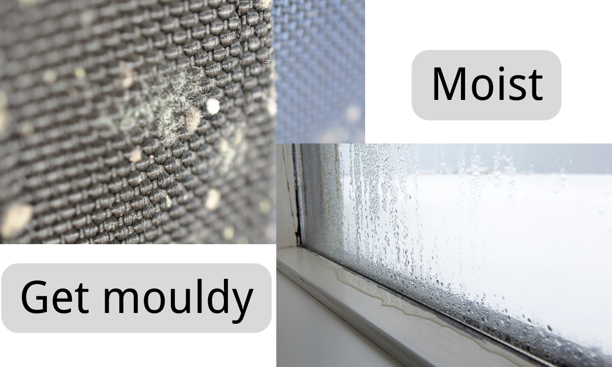 Humidity and mold