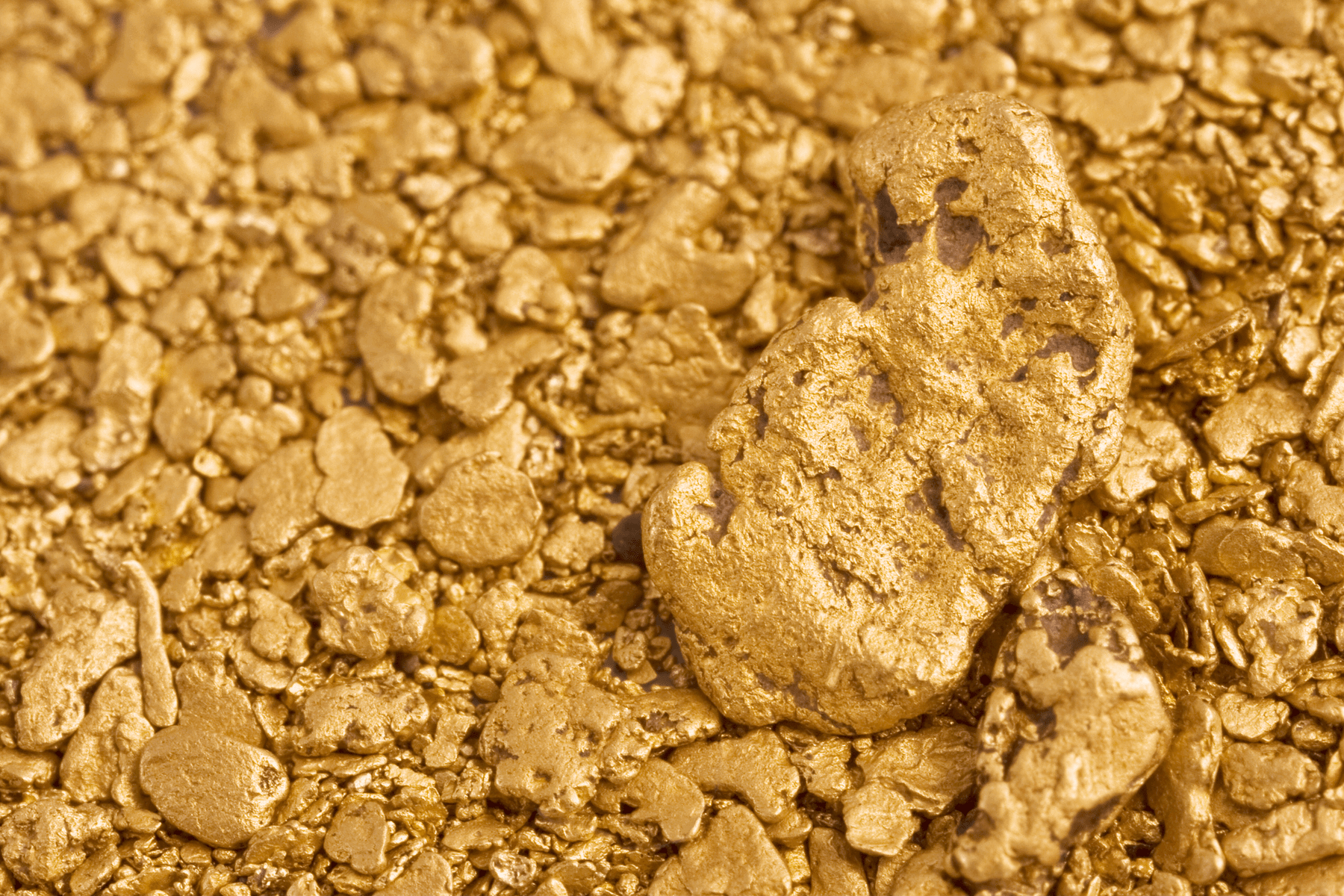 Gold Paydirt  The Caribbean's Only Gold Paydirt Company