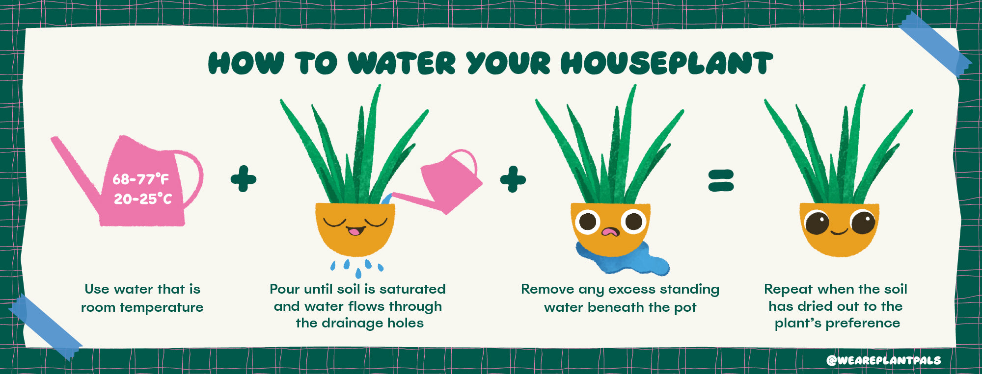 Plant Pals How to Water Your Houseplant Diagram