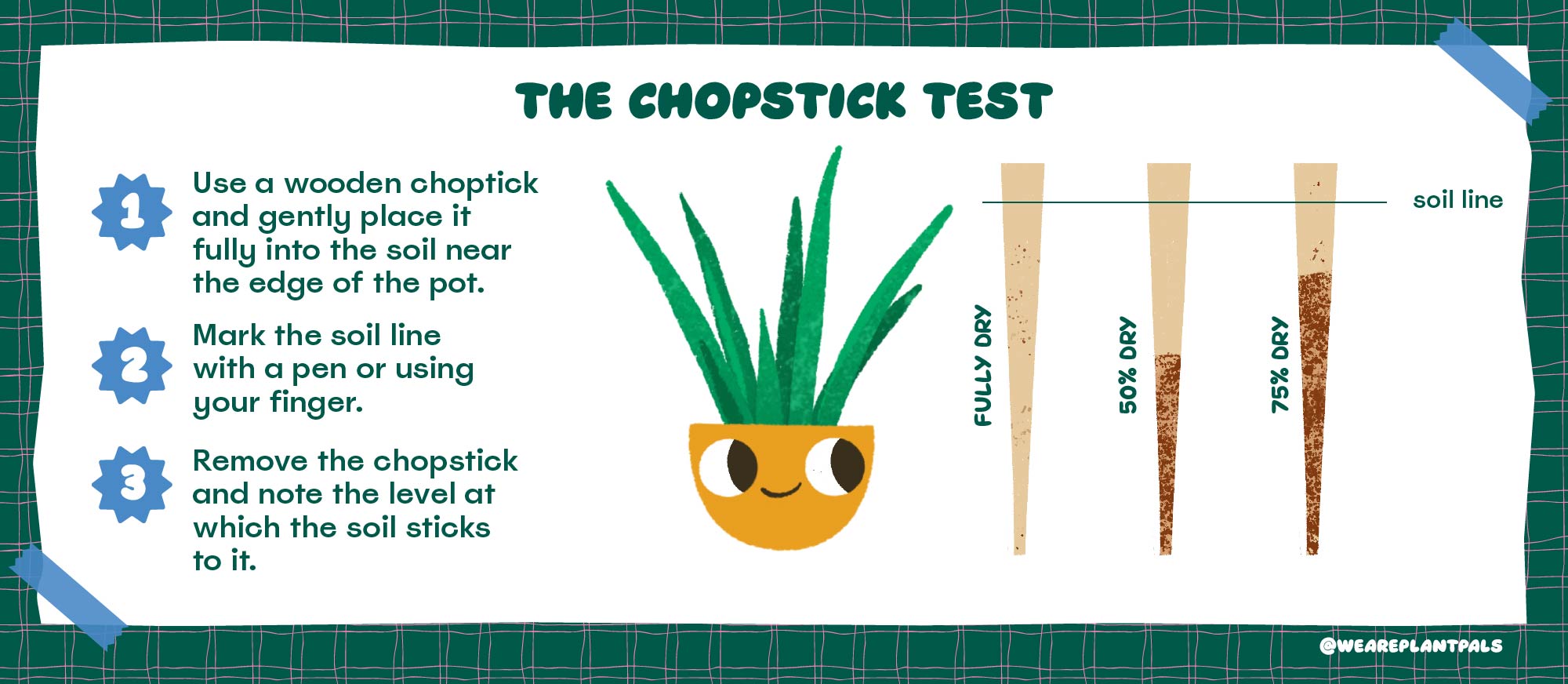chopstick test plant pals