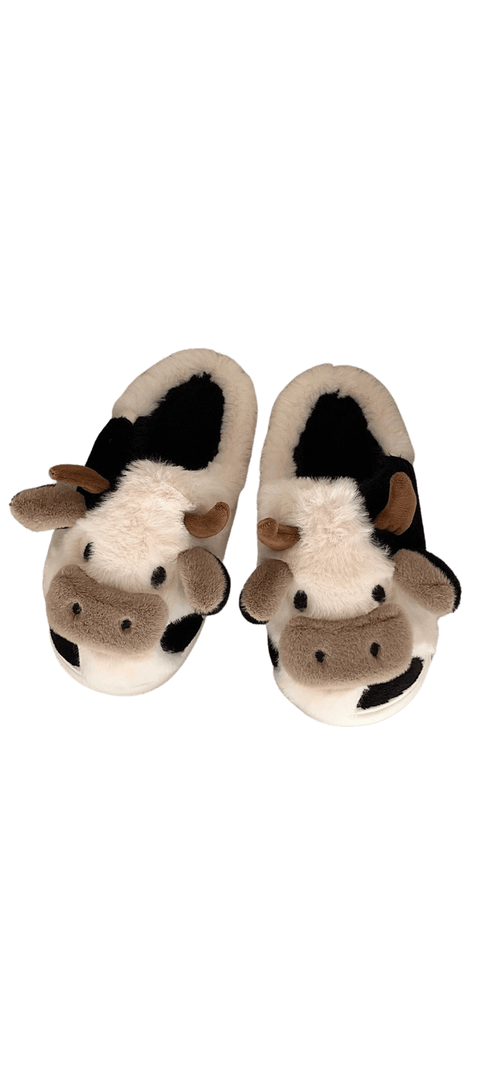 Cow | NZ's Slipper | NZ
