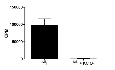 Uptake, RhNIS, NIS