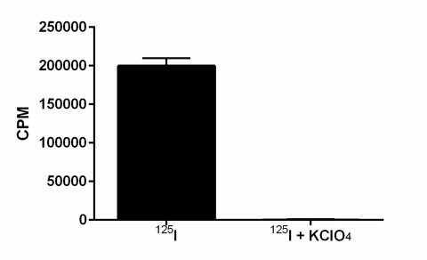 uptake assay, hNIS