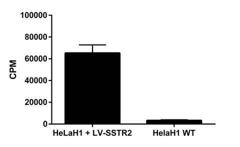 uptake SSTR2