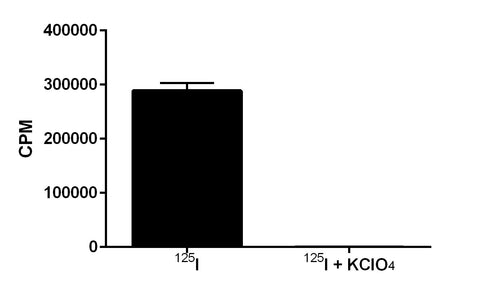 uptake pgk hnis puro