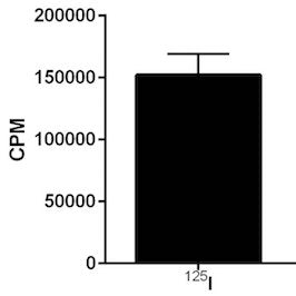 A549 sodium iodide symporter (NIS)