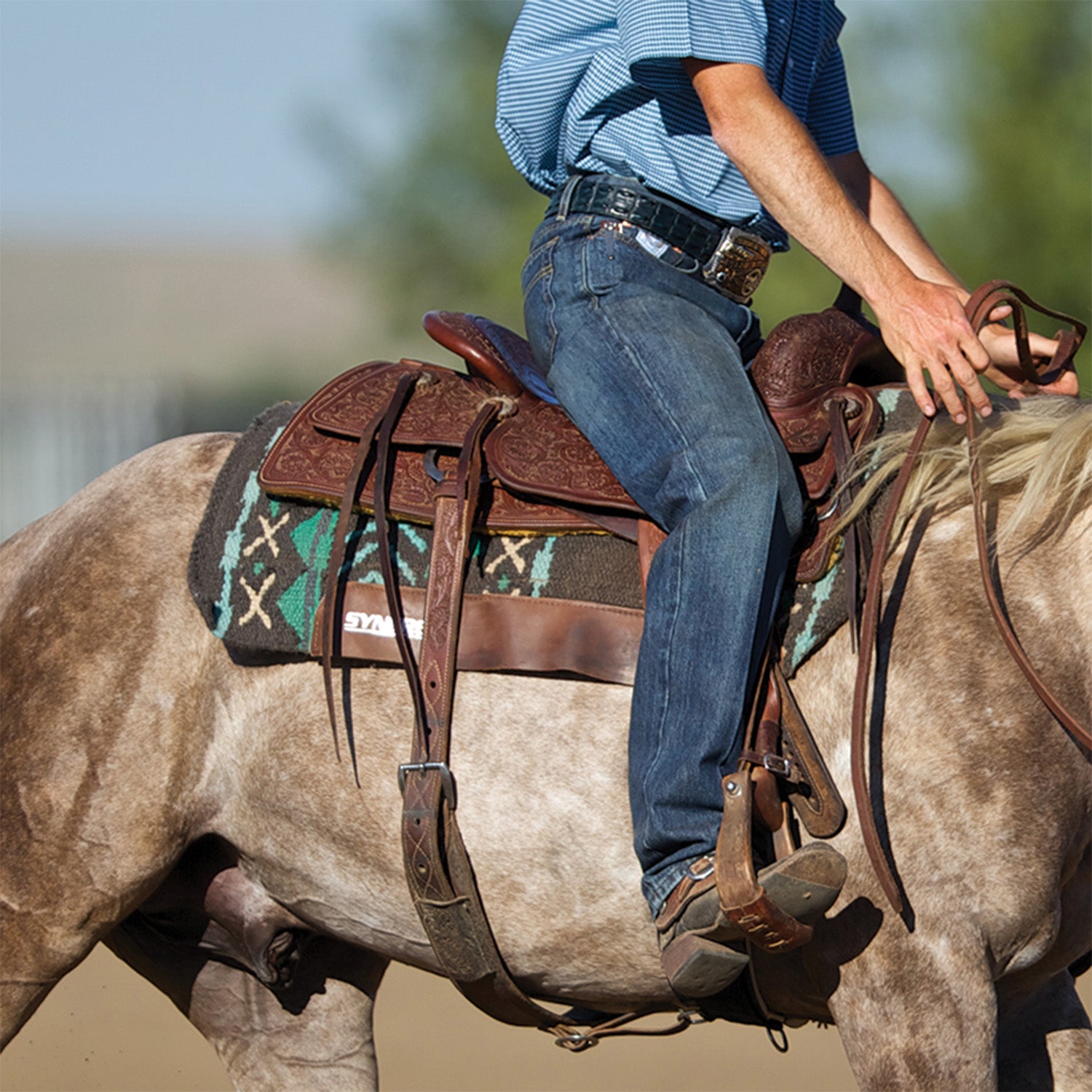 Saddle Pad on a Horse