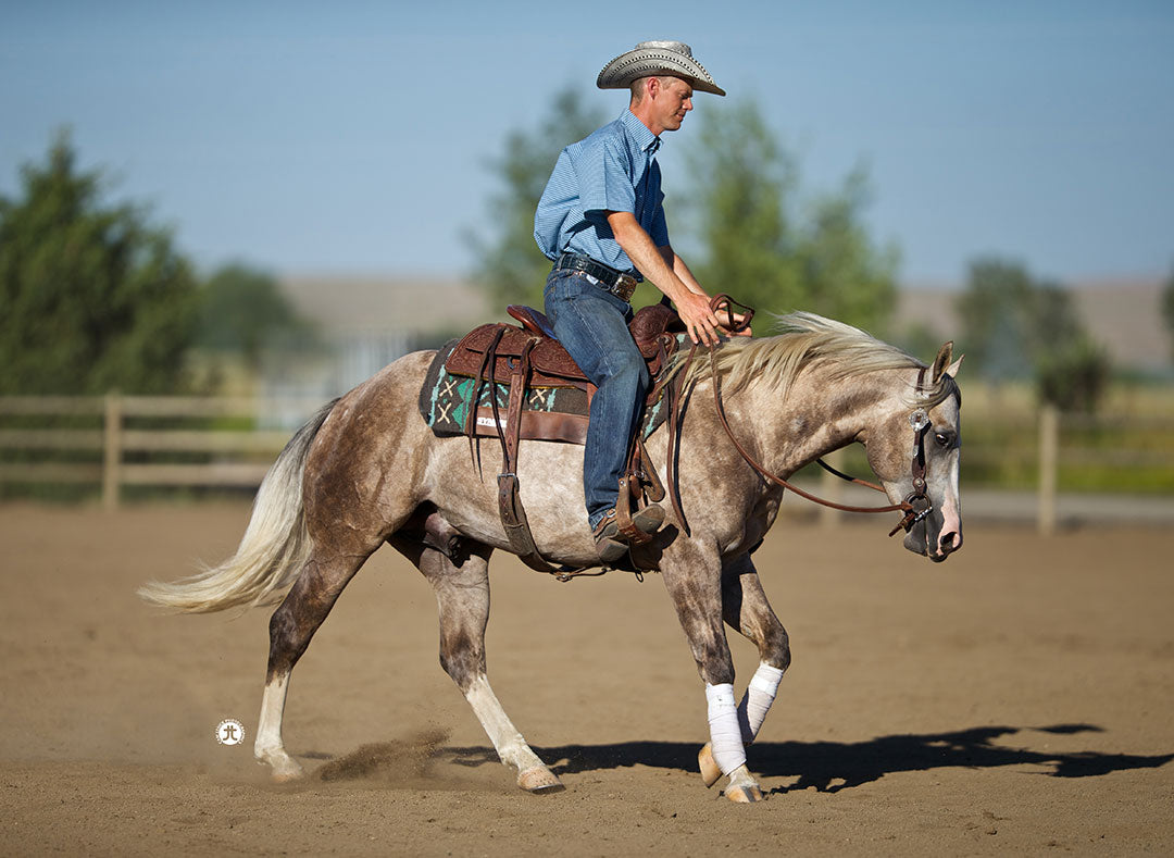 Shock-Absorbing Saddle Pads