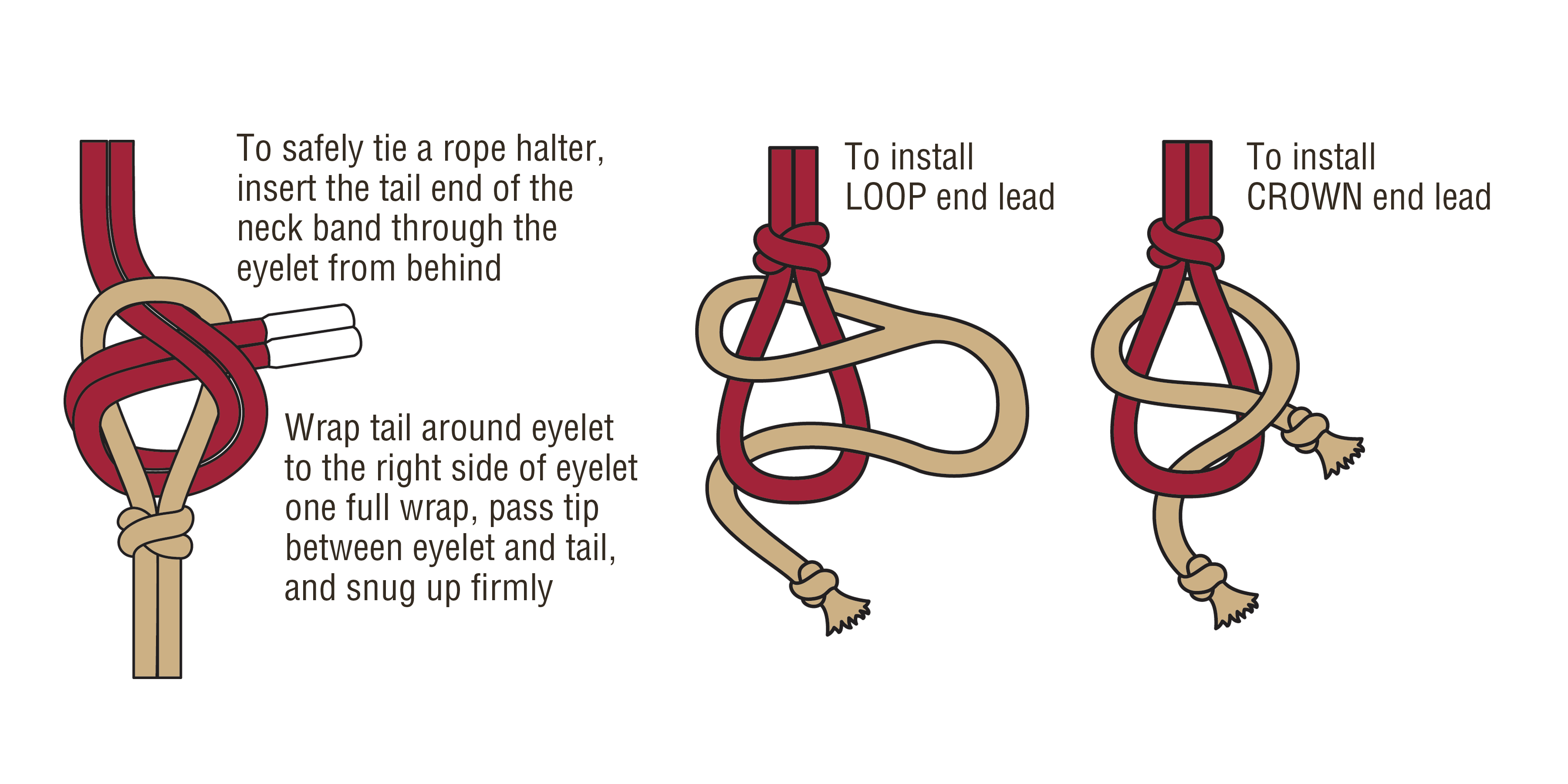 Illustration about tying a Rope Halter