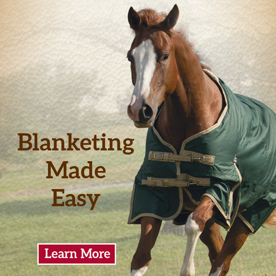 Horse Blanketing