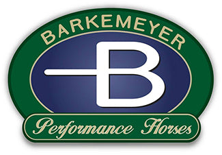 Brad Barkemeyer Logo