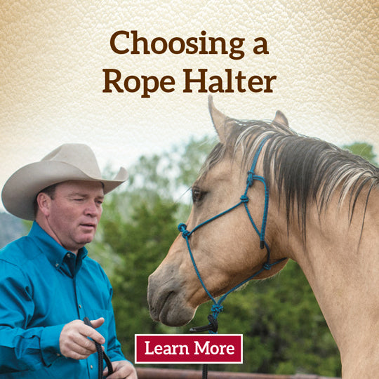 How to Choose a Rope Halter