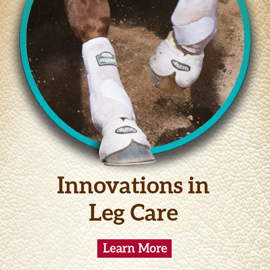 Horse Leg Care