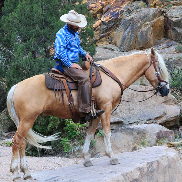 Justin Dunn Riding