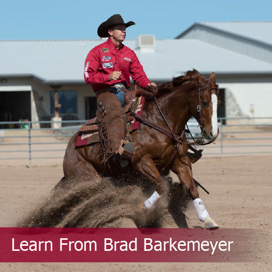 Learn from Brad Barkemeyer