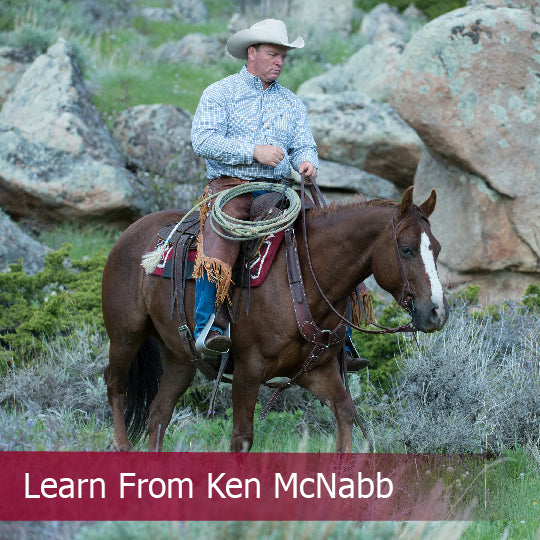 Learn from Ken McNabb