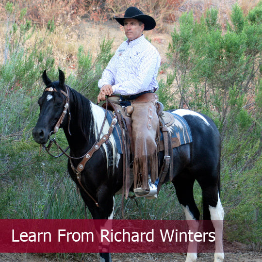 Learn from Richard Winters