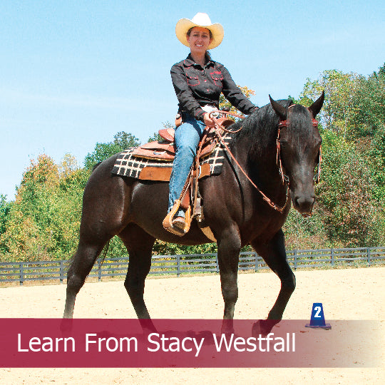 Learn from Stacy Westfall