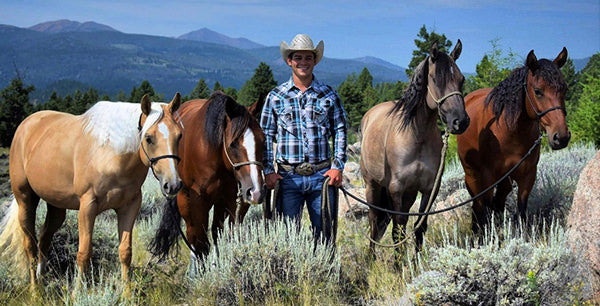 Luke Gingerich Mountains