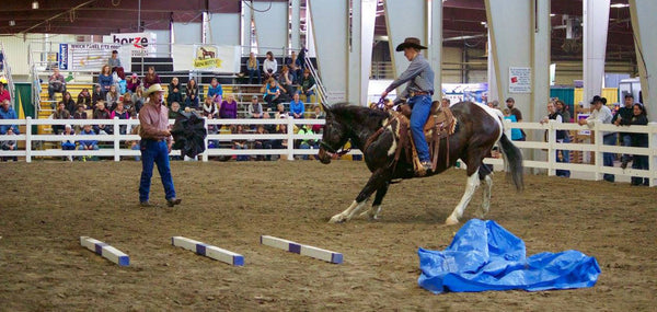 Helping a Scared Horse Work Through Fear