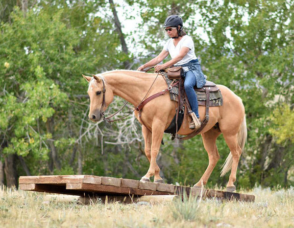 Helping a Scared Horse Work Through Fear