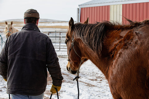 Winter Horseback Riding Tips